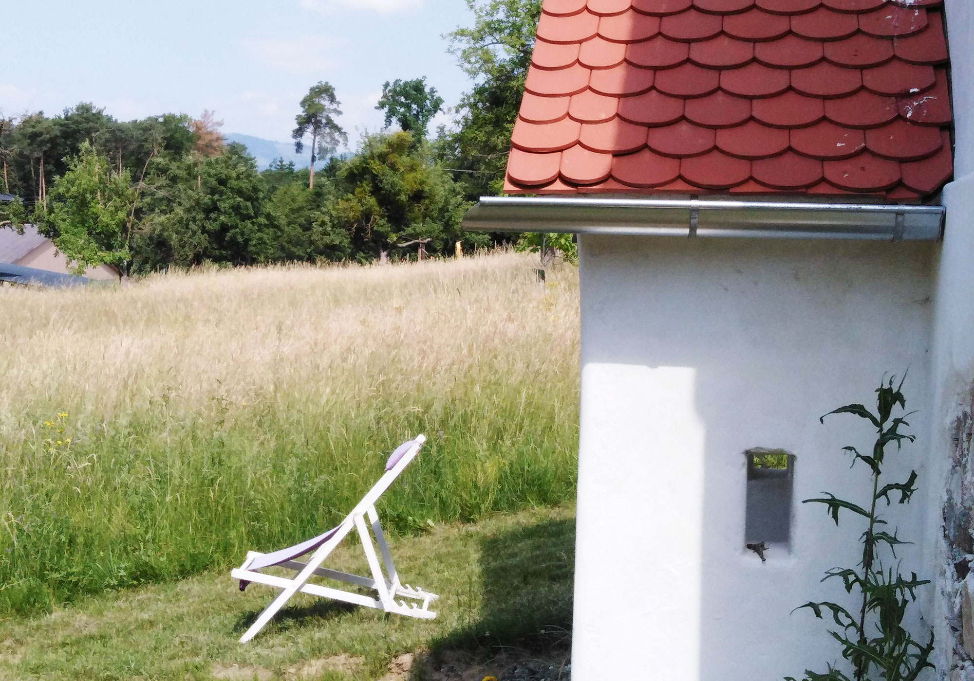 Zurück zur Natur